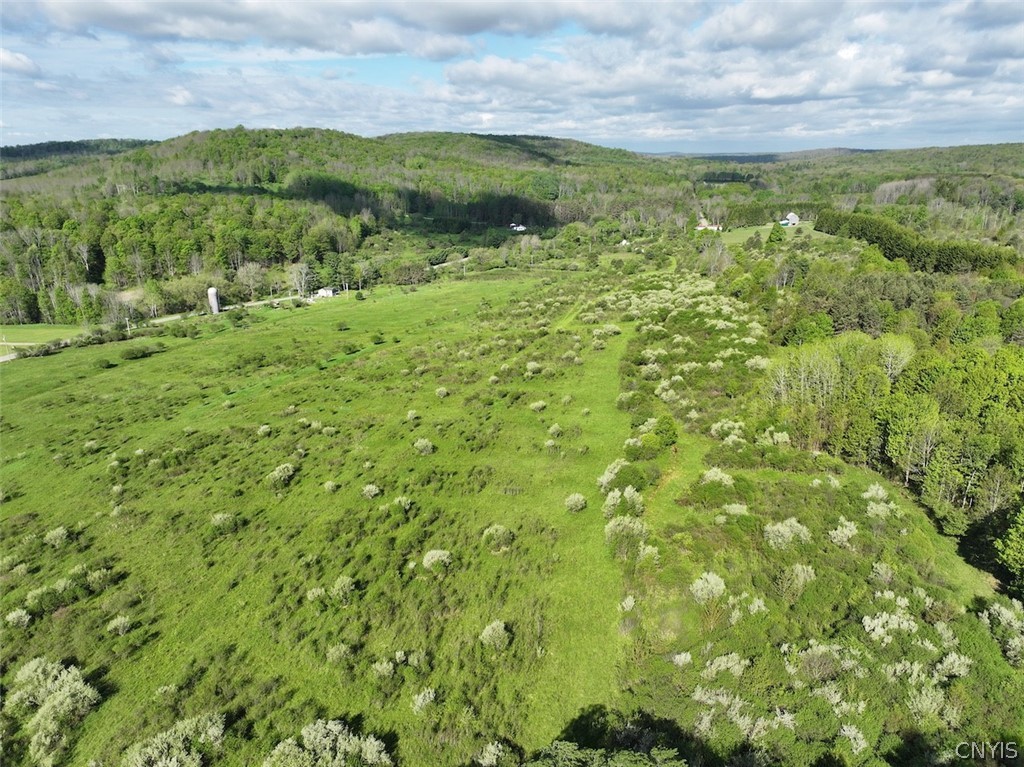 Shaffer Road Cuba, NY 14727 - Photo 7 of 11