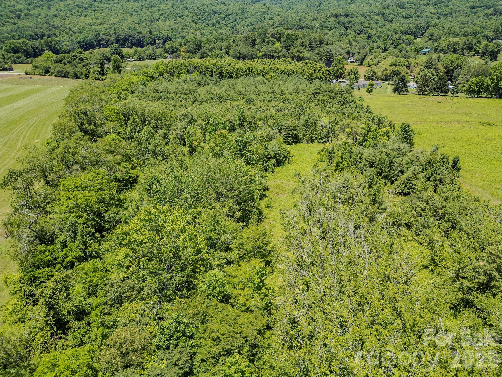 Tbd Canebrake Road Pisgah Forest, NC 28768 - Photo 25 of 43