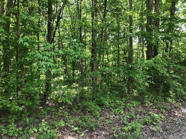 671 County Road Athens, TN 37303 - Photo 2 of 3