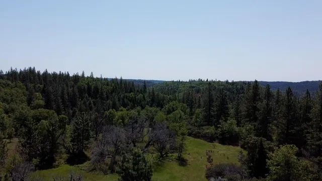 a view of a city with lush green forest