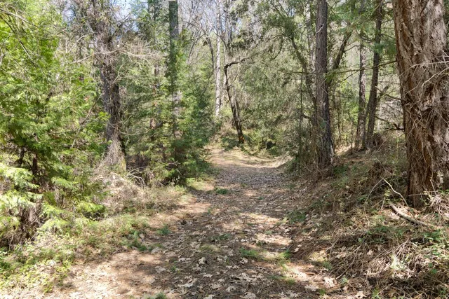 a view of side of a road with trees in the background