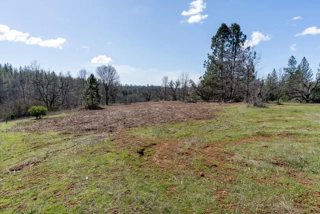 a view of dirt yard with trees
