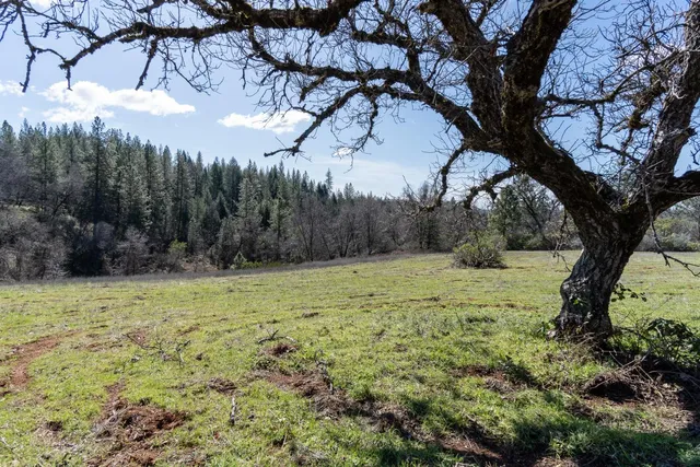 a view of basketball court