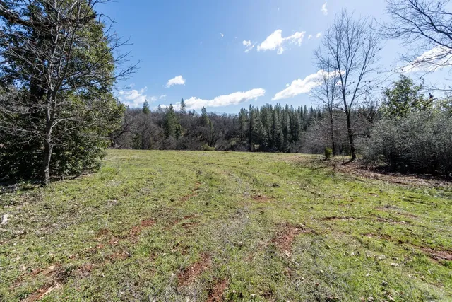 a view of a yard with a tree