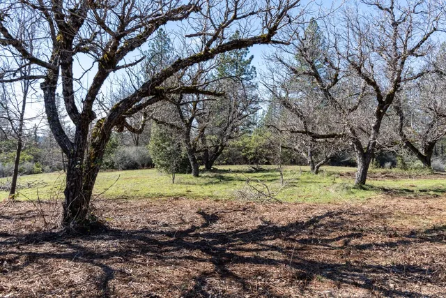 a view of outdoor space with trees