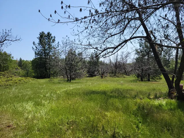 a view of outdoor space with trees