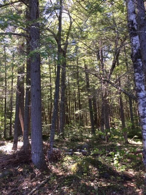 0 Hilltop Road Chesterville, ME 04938 - Photo 3 of 12 Photo