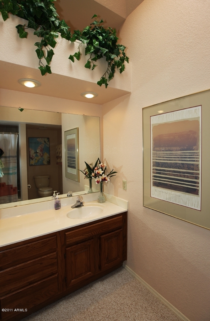 25609 Forest Road, Unit 14 Rio Verde, AZ 85263 - Photo 16 of 23 Guest Bath