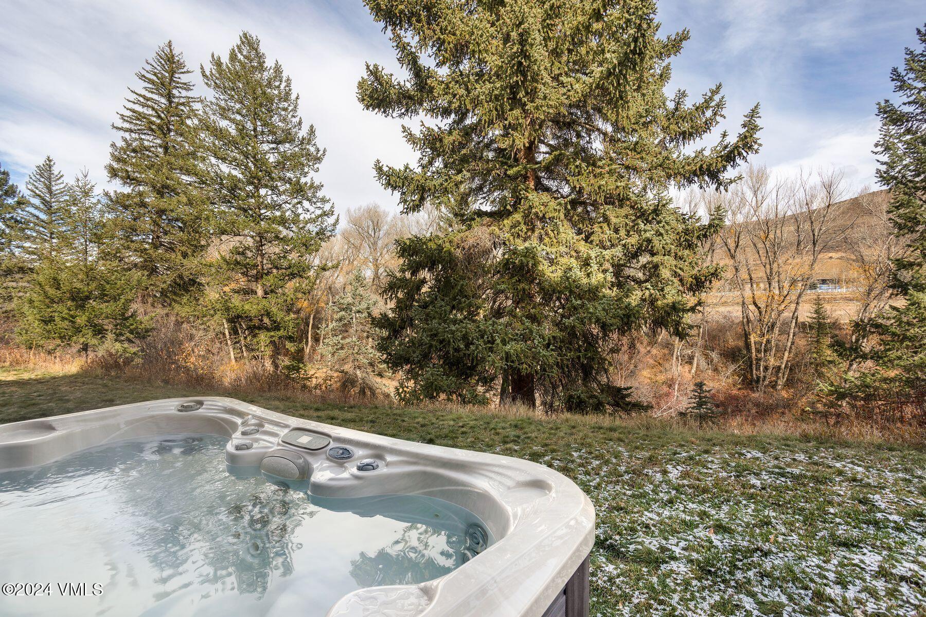 39555 Highway 6, Unit E Avon, CO 81620 - Photo 13 of 42 a view of a yard with a tree