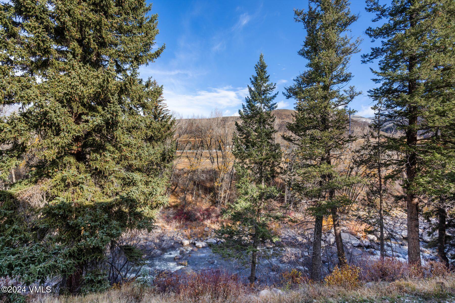39555 Highway 6, Unit E Avon, CO 81620 - Photo 23 of 42 a view of a tree in a yard