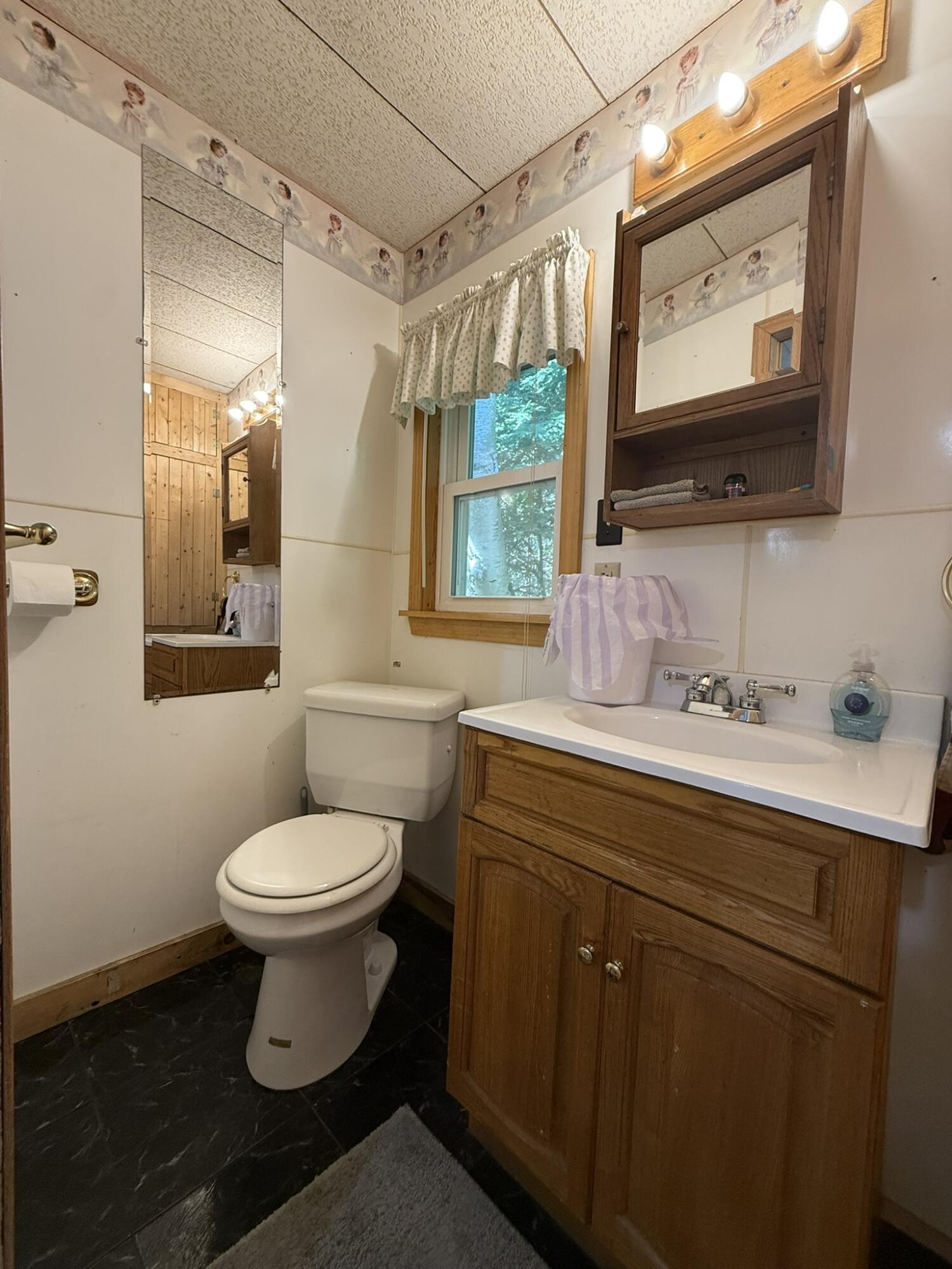 255 Williams Road Sabattus, ME 04280 - Photo 11 of 37 IMG_5290