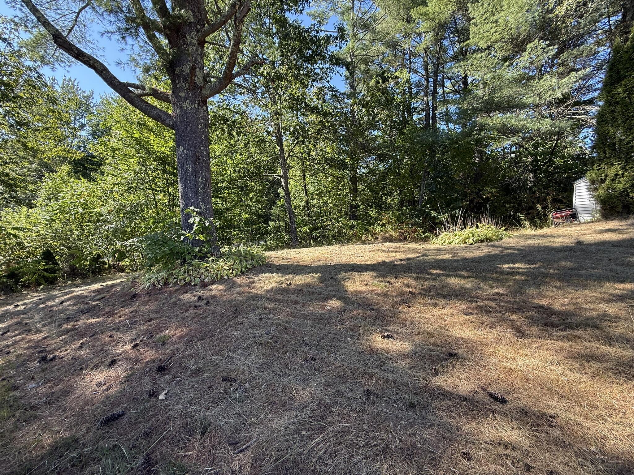 255 Williams Road Sabattus, ME 04280 - Photo 28 of 37 IMG_5315