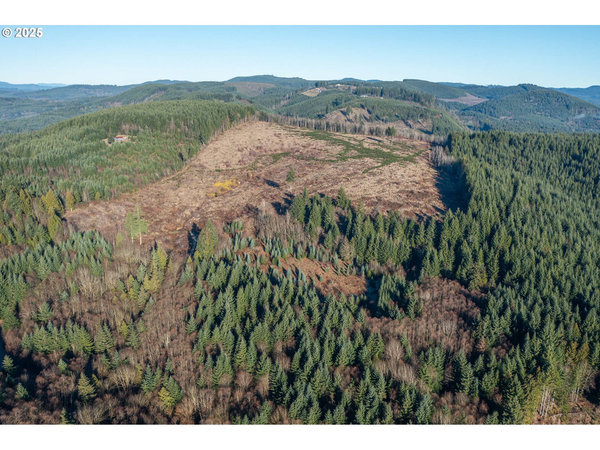 0 Northwest Sellers Road Banks, OR 97106 - Photo 10 of 37 Gallery Image 10