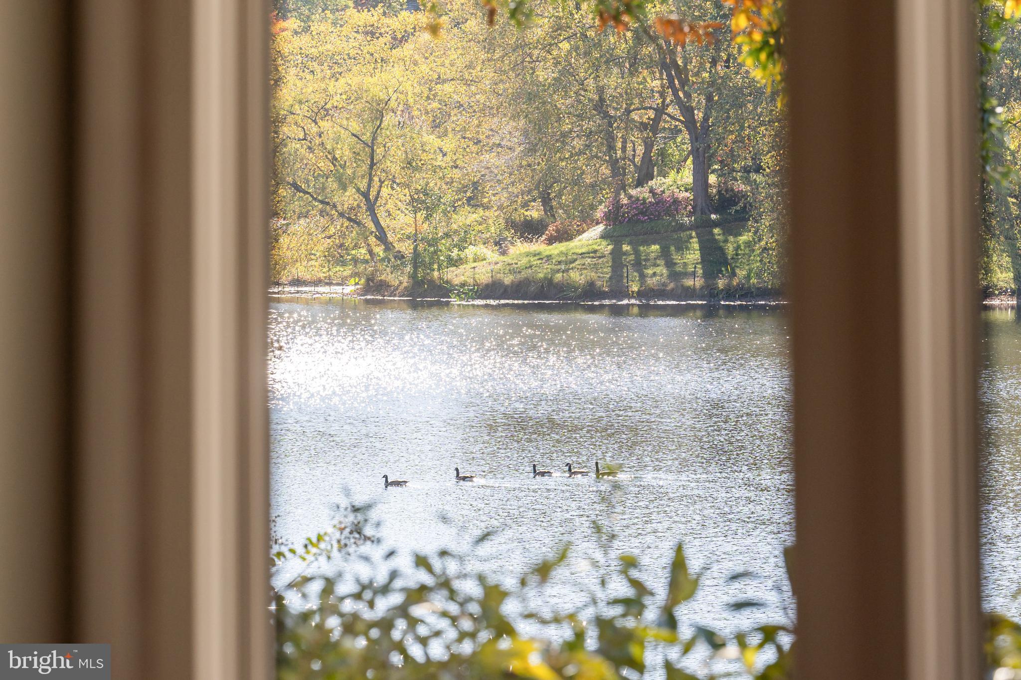 1472 Waterfront Road Reston, VA 20194 - Photo 25 of 81