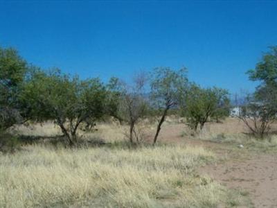 5710 East Klafter Road Tucson, AZ 85756 - Photo 5 of 10 Gallery Image 5