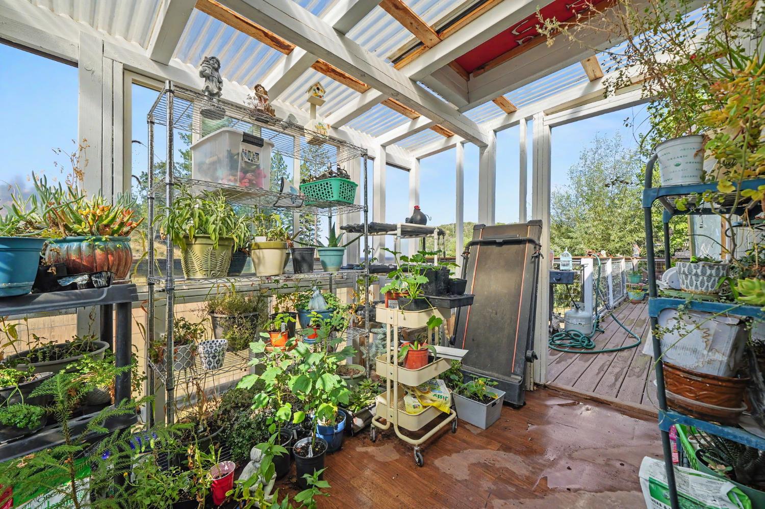 9307 Sun Road Mountain Ranch, CA 95246 - Photo 42 of 96 Green House off of Laundry Room