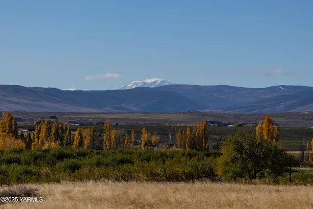 a view of a city with lush green forest