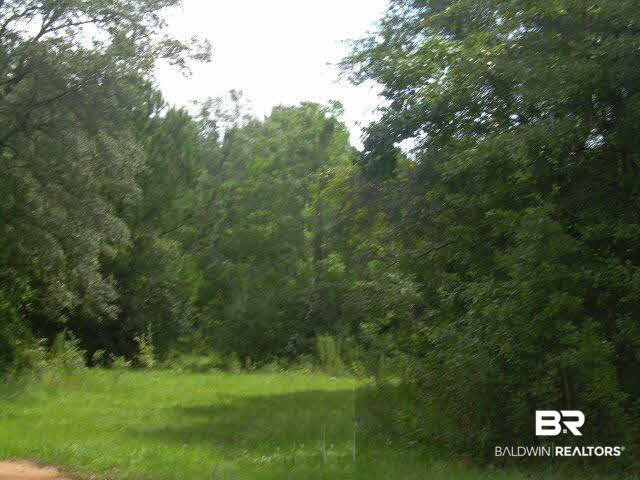 0 South East River Road Silverhill, AL 36576 - Photo 1 of 6