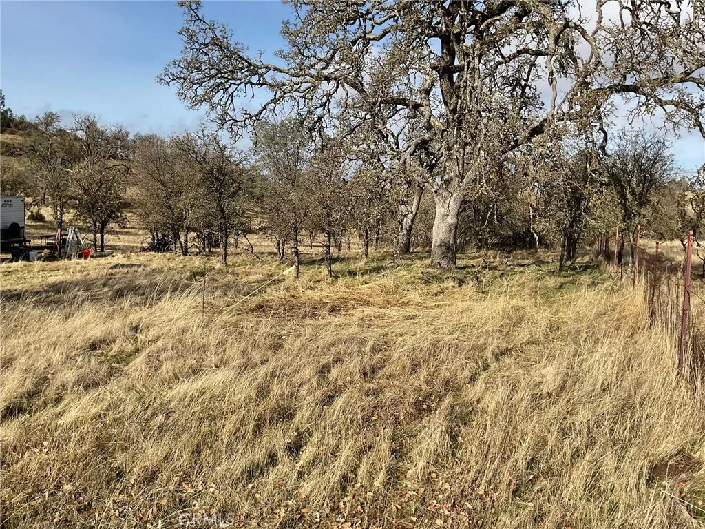 0 Golden Pond Road Manteca, CA 95336 - Photo 1 of 1 Gallery Image 1