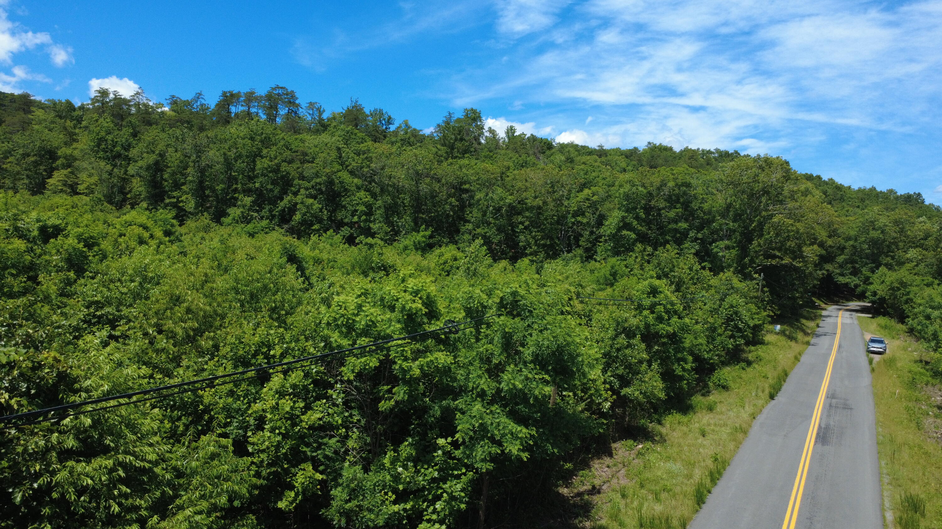 0 Craig Creek Road Eagle Rock, VA 24085 - Photo 7 of 25 a view of a lush green forest with lots of trees