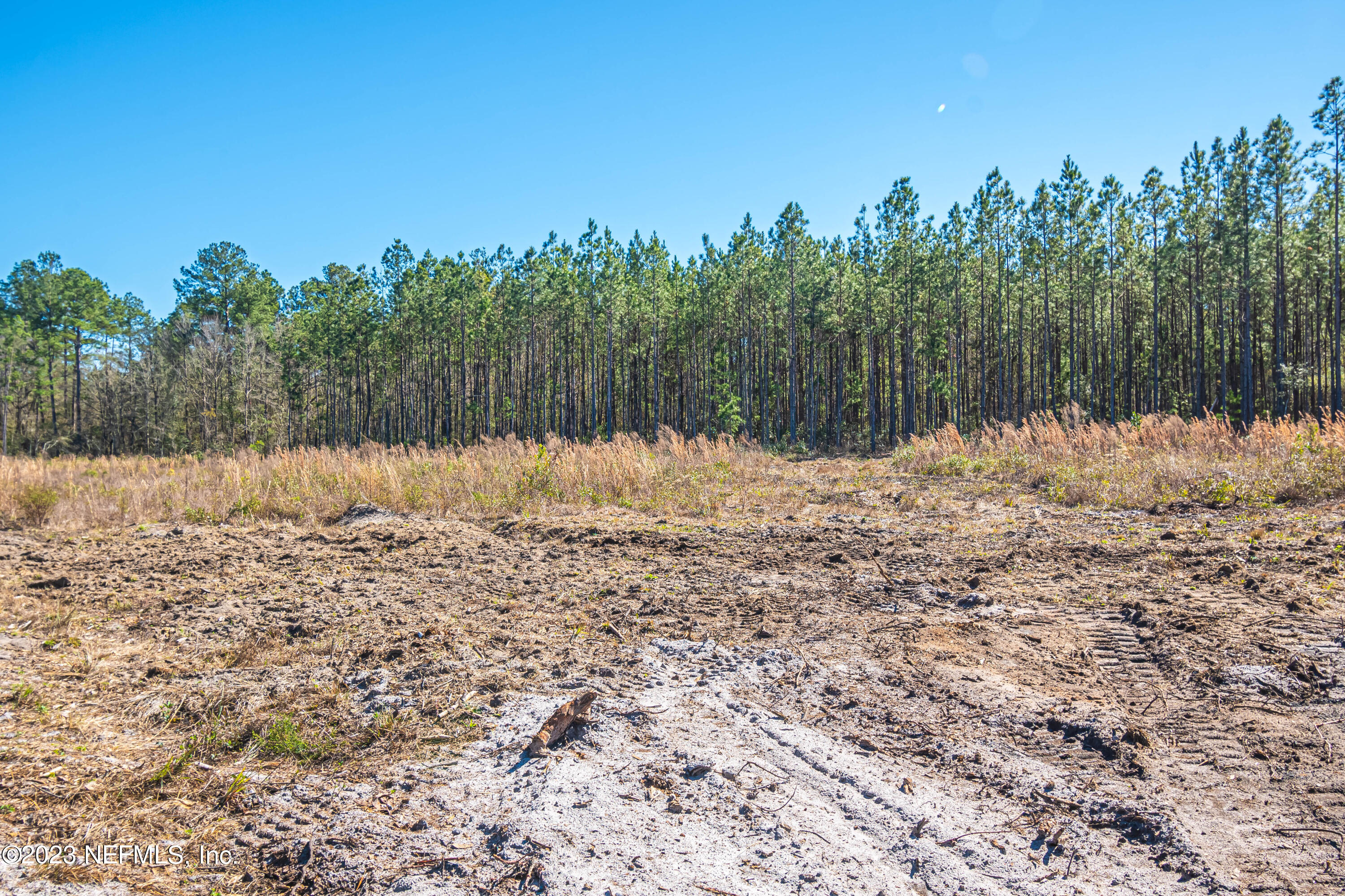 Lot 20 Steel Bridge Road Macclenny, FL 32063 - Photo 6 of 7 untitled-3992