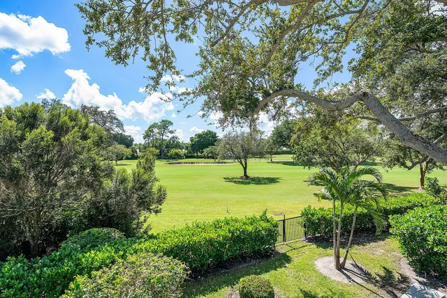a view of a backyard with plants
