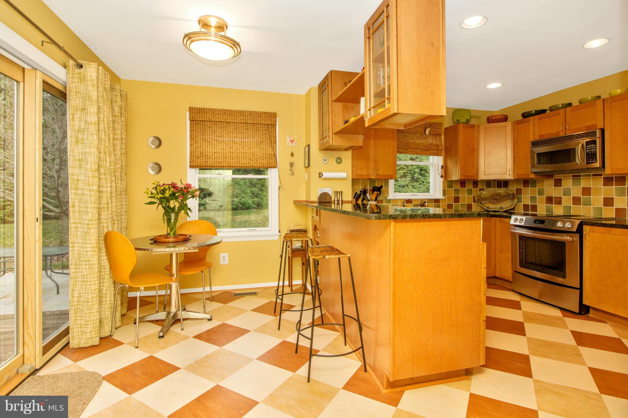 6630 Wind Ridge Road Mount Airy, MD 21771 - Photo 9 of 30 Kitchen