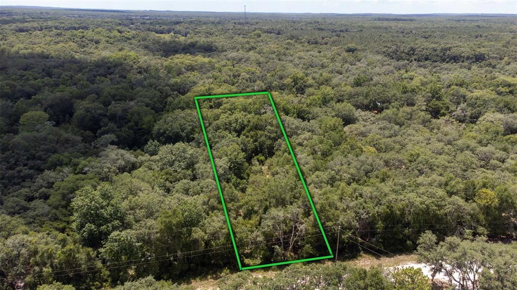 an aerial view of forest