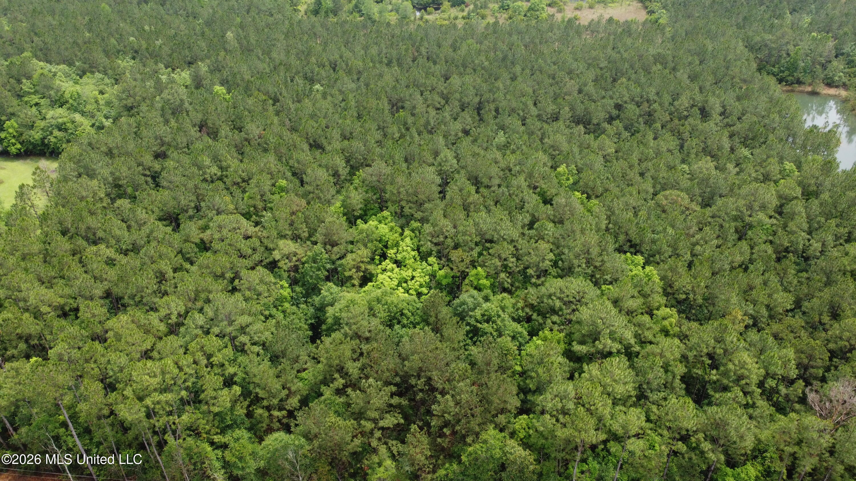 21205 South Fork Road Saucier, MS 39574 - Photo 20 of 23 dji_fly_20260521_140902_403_177939064630
