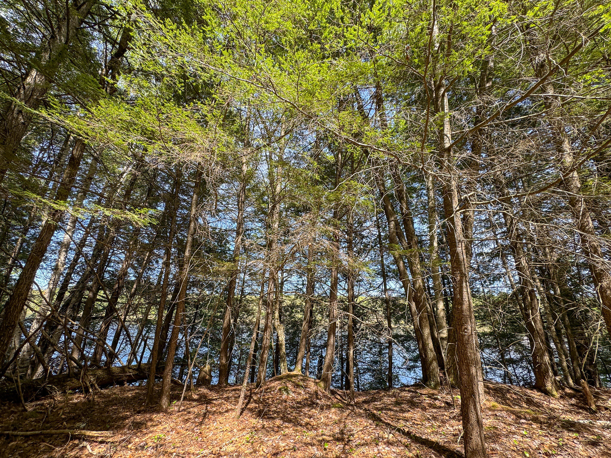 M2-l11-4 West Indian Road Lincoln, ME 04457 - Photo 18 of 27 19