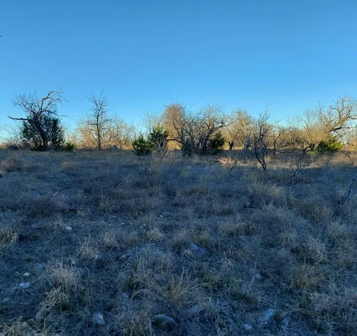 $165,000 | Tbd Lot# 33 Tbd Drive, Comanche, TX 76442