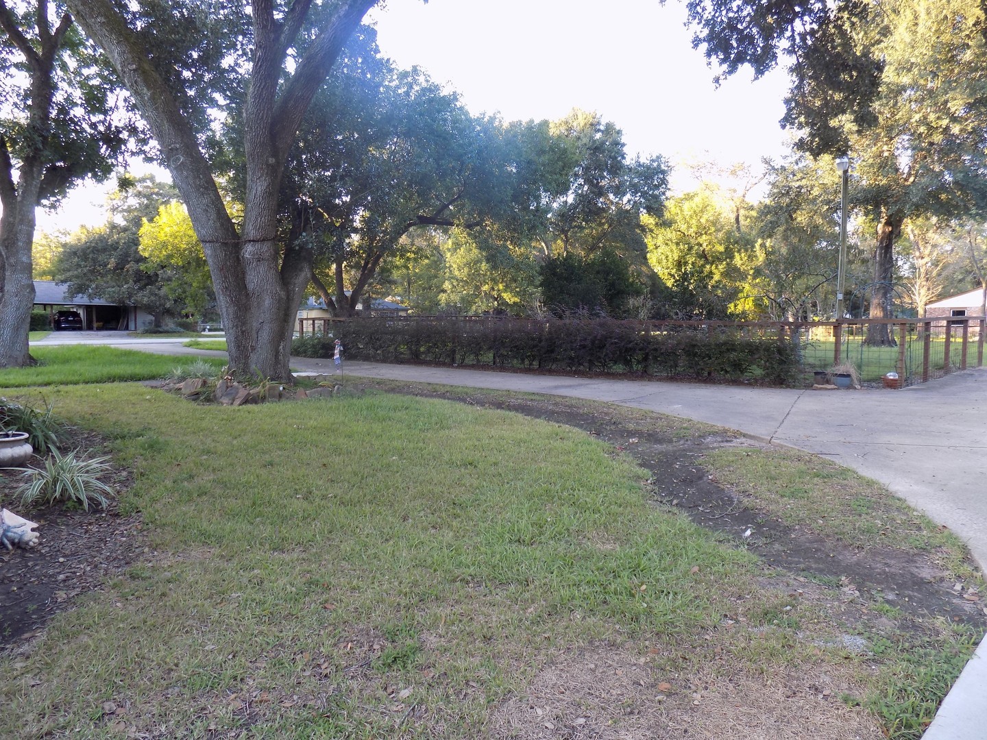 12705 Pebble Creek Lane Cypress, TX 77429 - Photo 15 of 19 a backyard of a house with lots of green space