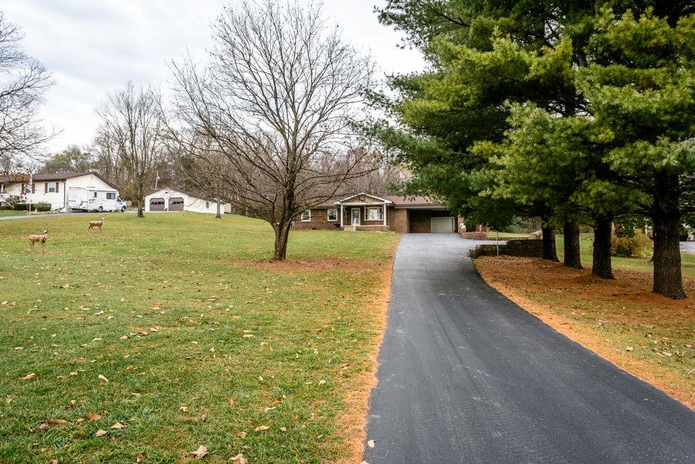 10807 Indian Trail Road Harrisonburg, VA 22802 - Photo 20 of 32 a view of a yard with plants and trees