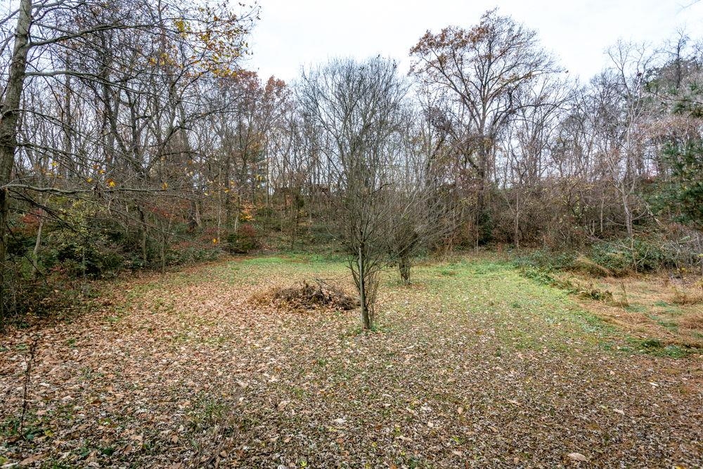10807 Indian Trail Road Harrisonburg, VA 22802 - Photo 30 of 32 a view of a forest with trees in the background