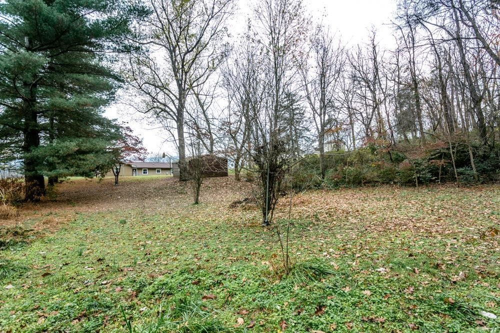 10807 Indian Trail Road Harrisonburg, VA 22802 - Photo 31 of 32 a backyard of a house with lots of green space