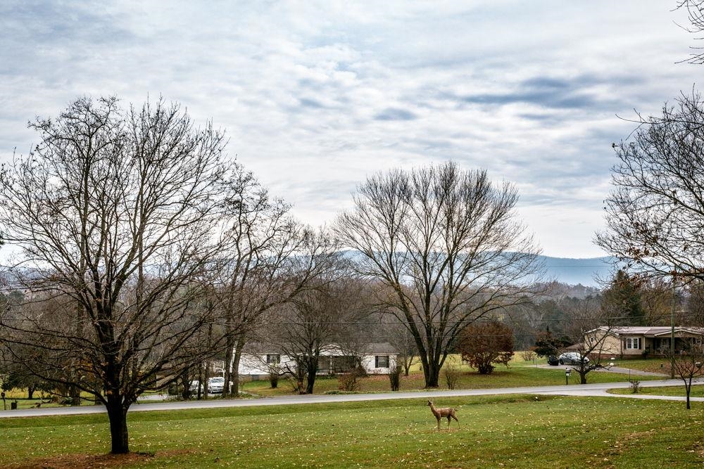 10807 Indian Trail Road Harrisonburg, VA 22802 - Photo 32 of 32 a big yard with large trees