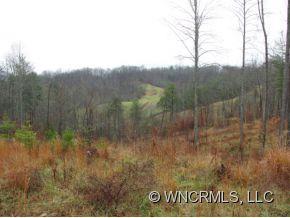 433 Madisons Ridge Drive Marshall, NC 28753 - Photo 2 of 3 a view of a field