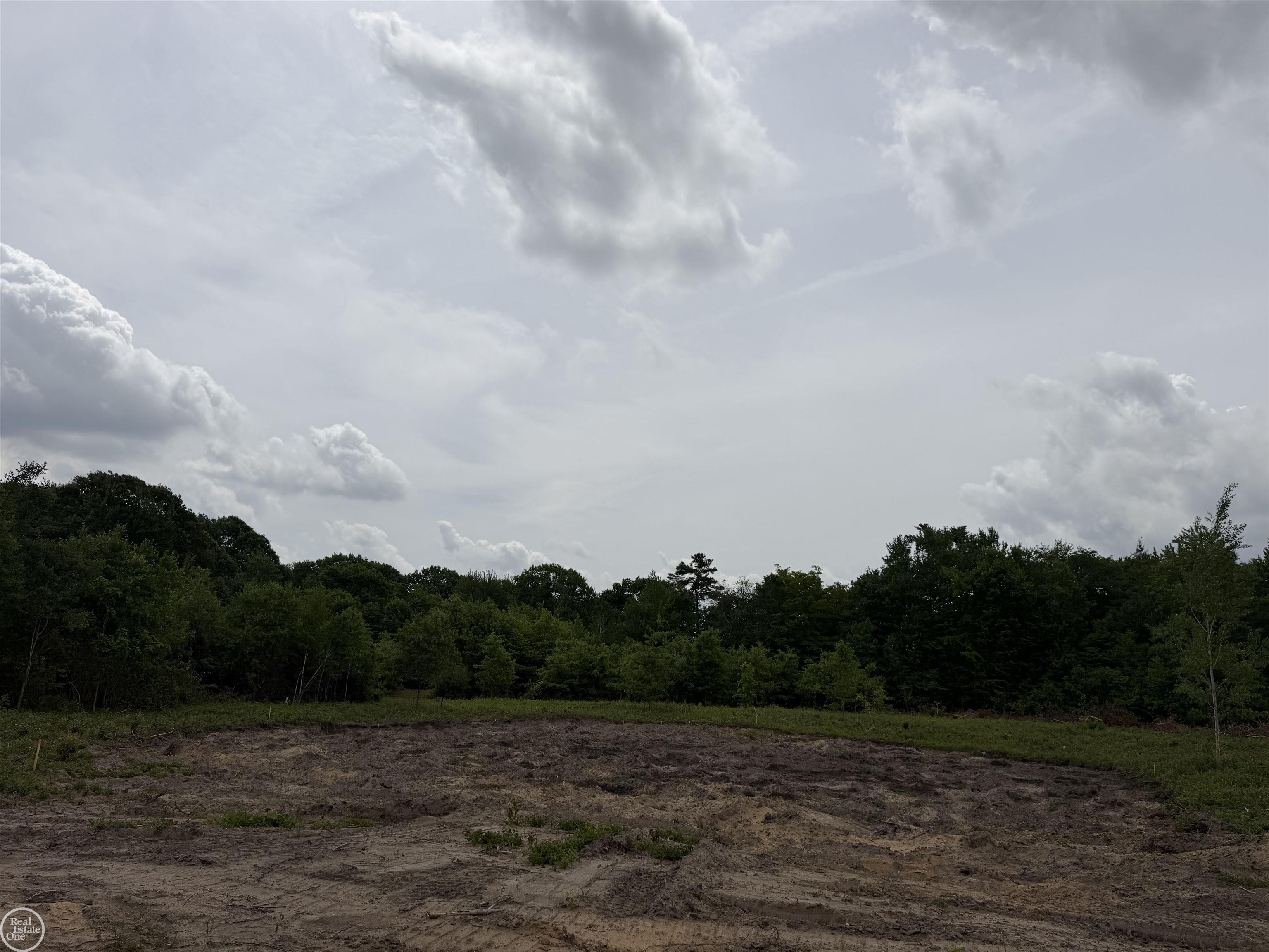 0 Parker Road Fort Gratiot, MI 48059 - Photo 13 of 16