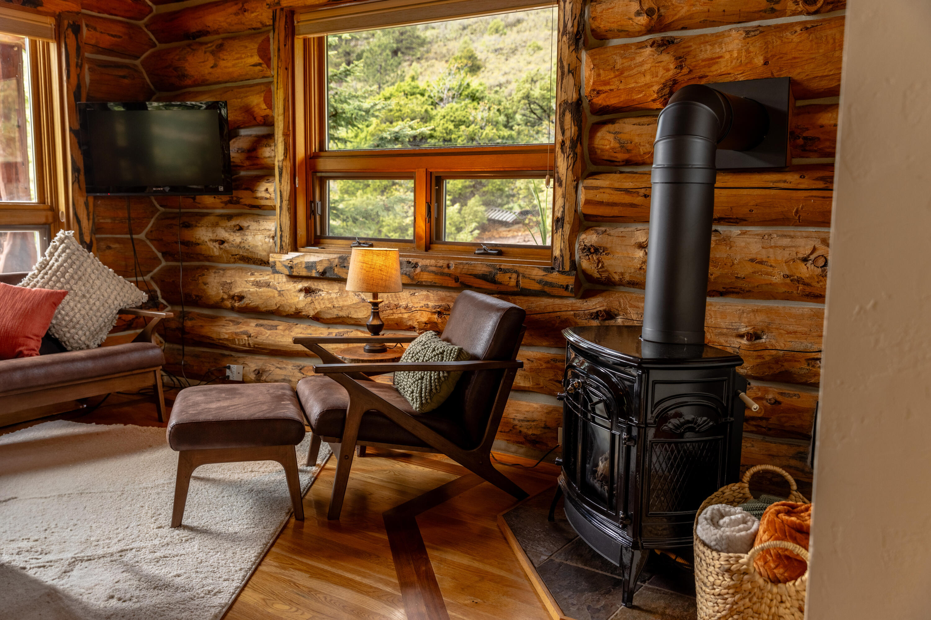 2001 County Road Placerville, CO 81430 - Photo 14 of 37 a view of a livingroom with furniture and a flat screen tv