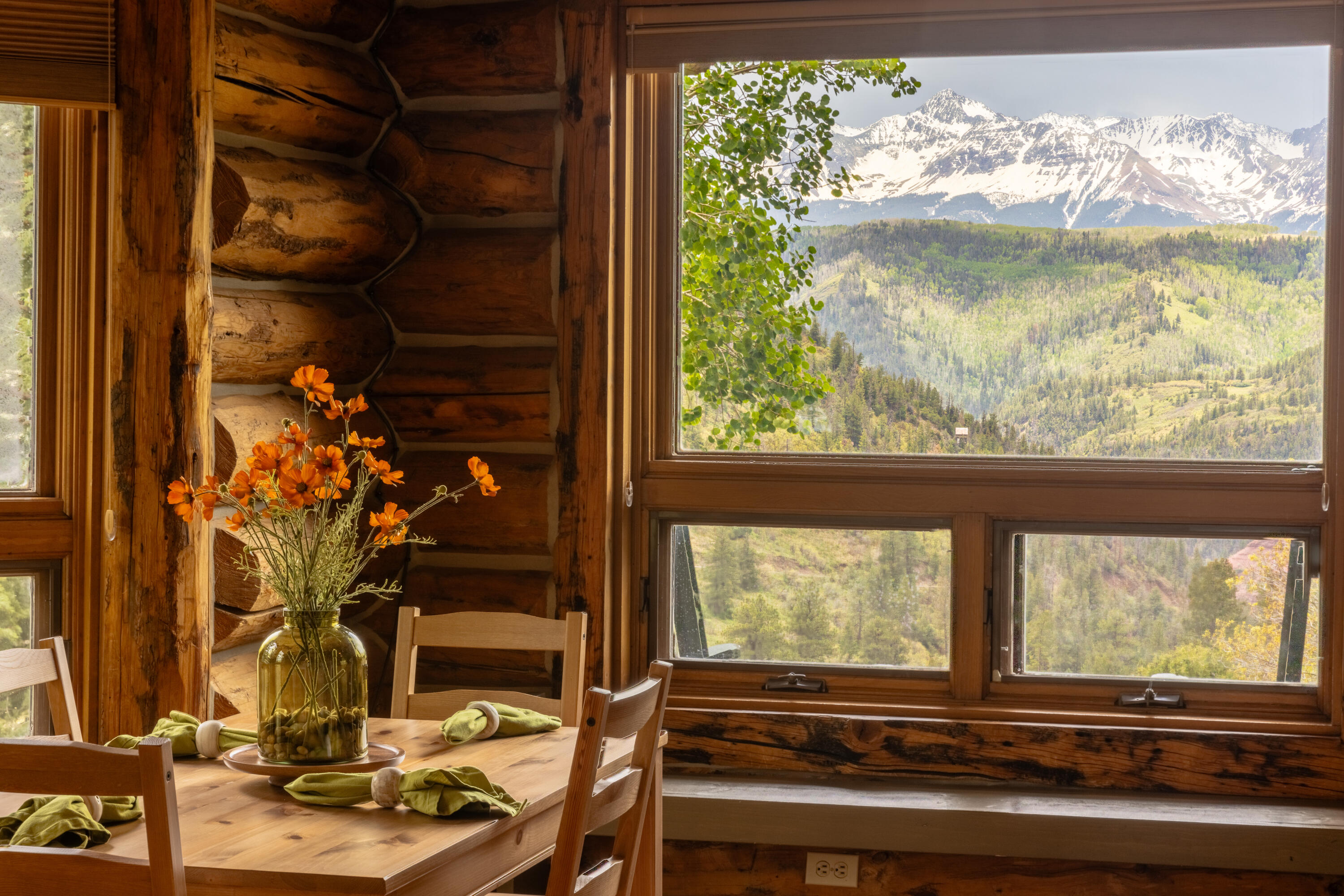 2001 County Road Placerville, CO 81430 - Photo 18 of 37