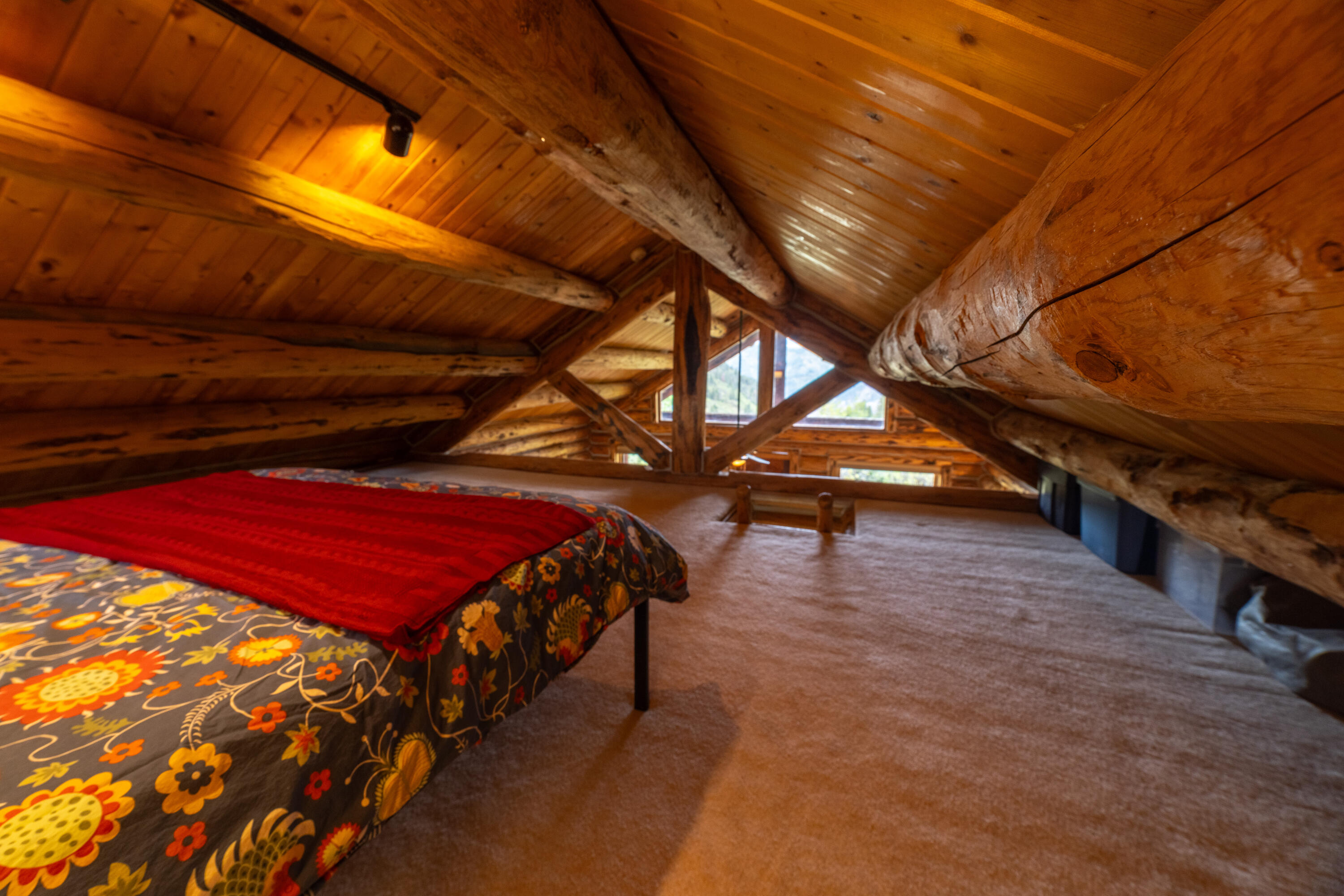 2001 County Road Placerville, CO 81430 - Photo 27 of 37 a view of a room