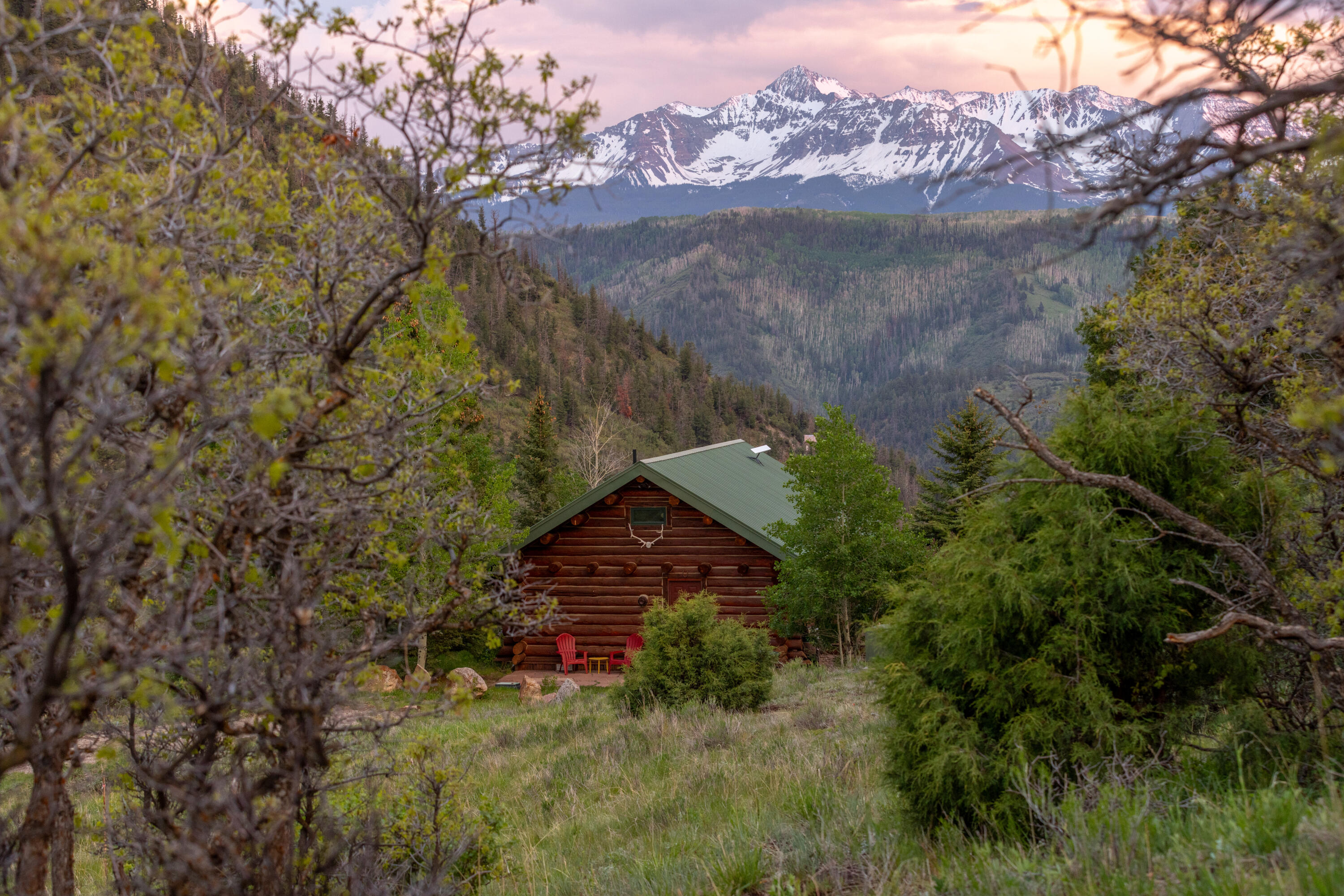 2001 County Road Placerville, CO 81430 - Photo 30 of 37 a view of a yard with large trees