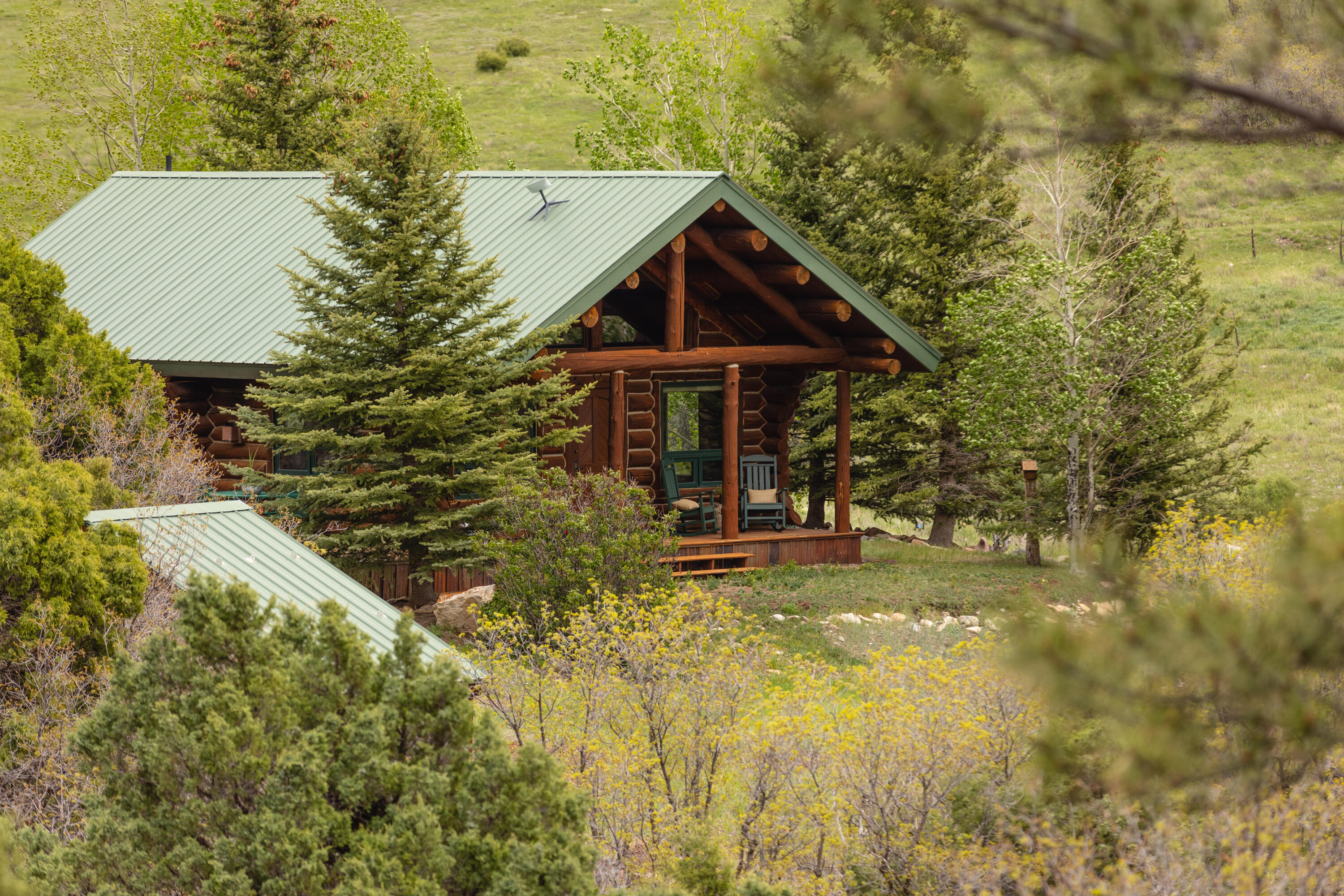 2001 County Road Placerville, CO 81430 - Photo 3 of 37 a view of a house with pool