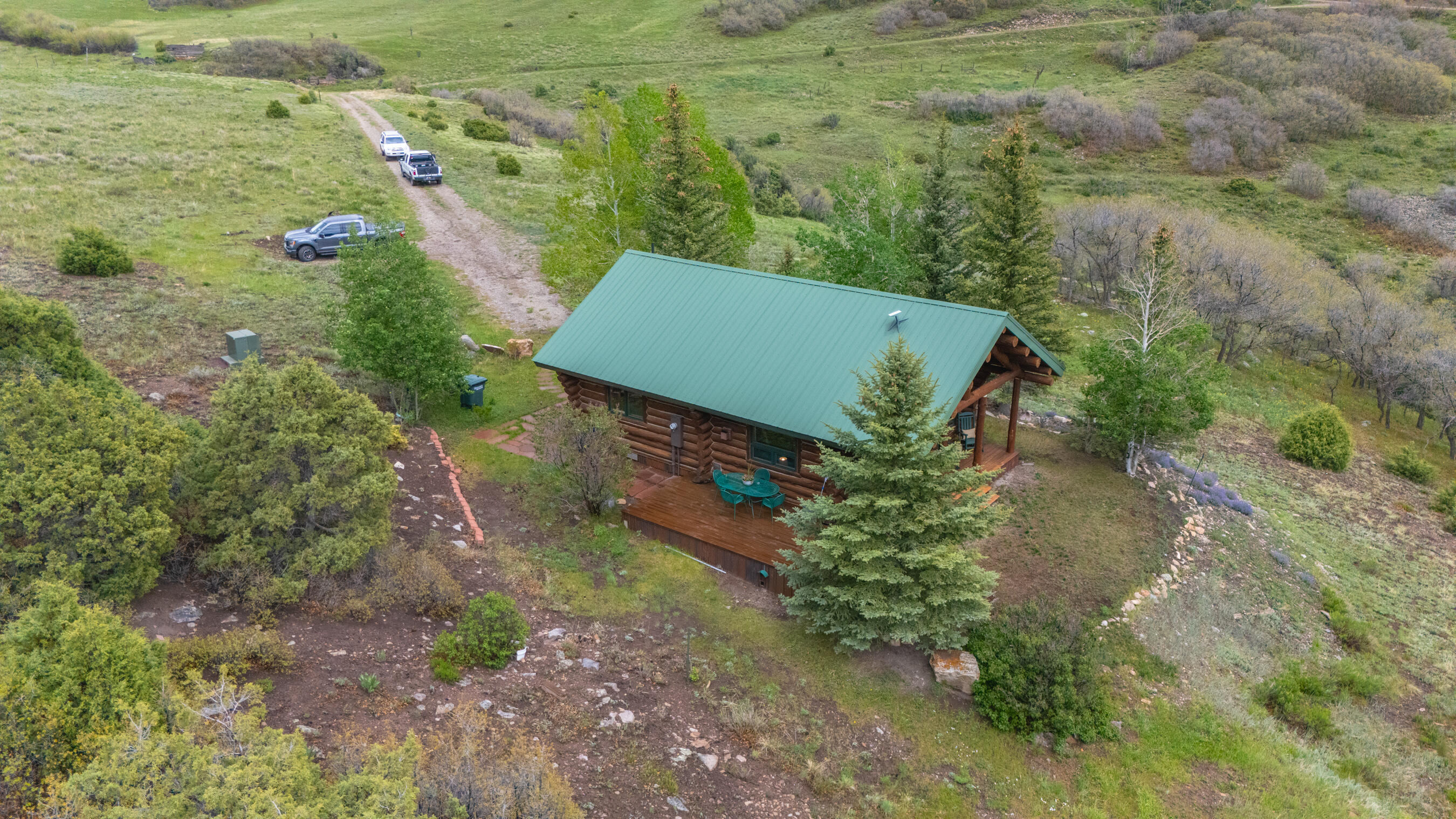 2001 County Road Placerville, CO 81430 - Photo 32 of 37 view of a forest with a yard