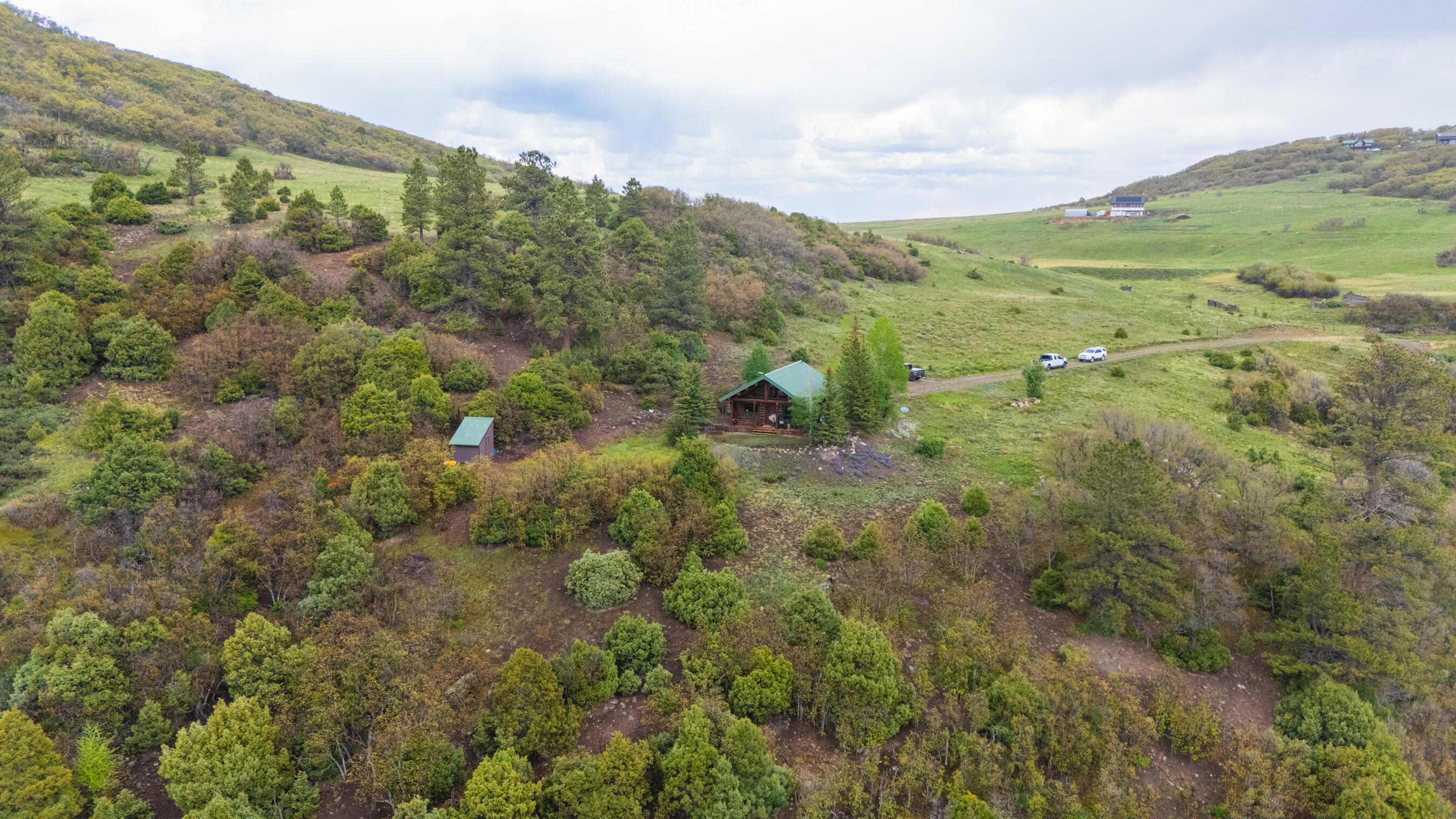 2001 County Road Placerville, CO 81430 - Photo 36 of 37 a view of a lush green forest with lush green forest