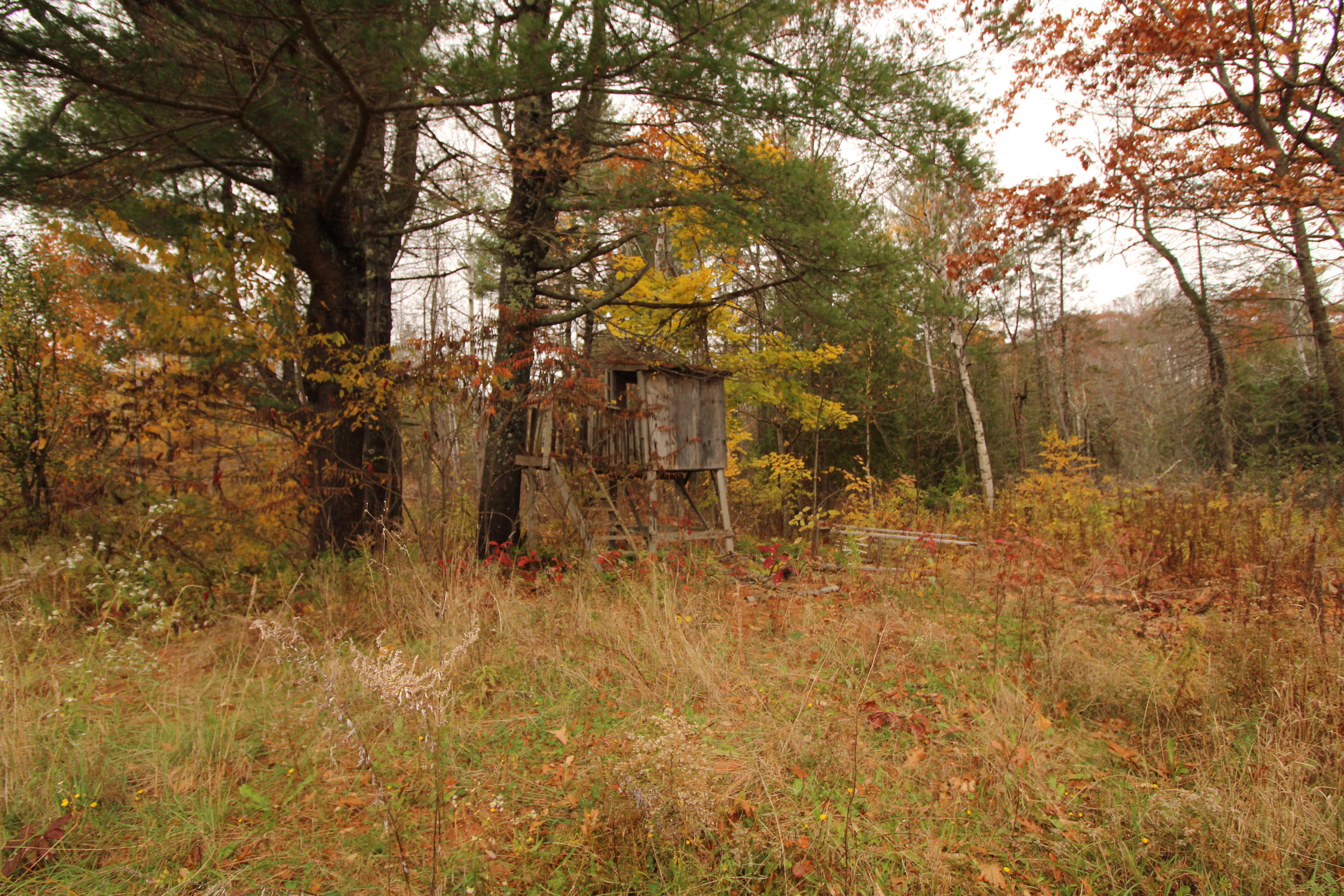 285 Main Road South Hampden, ME 04444 - Photo 29 of 32 IMG_0139