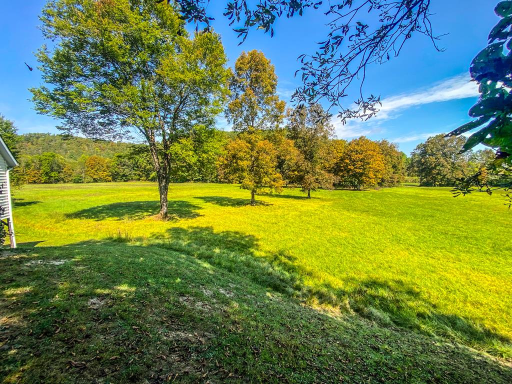 6852 Kimberling Road Bland, VA 24315 - Photo 41 of 63 Gallery Image 41