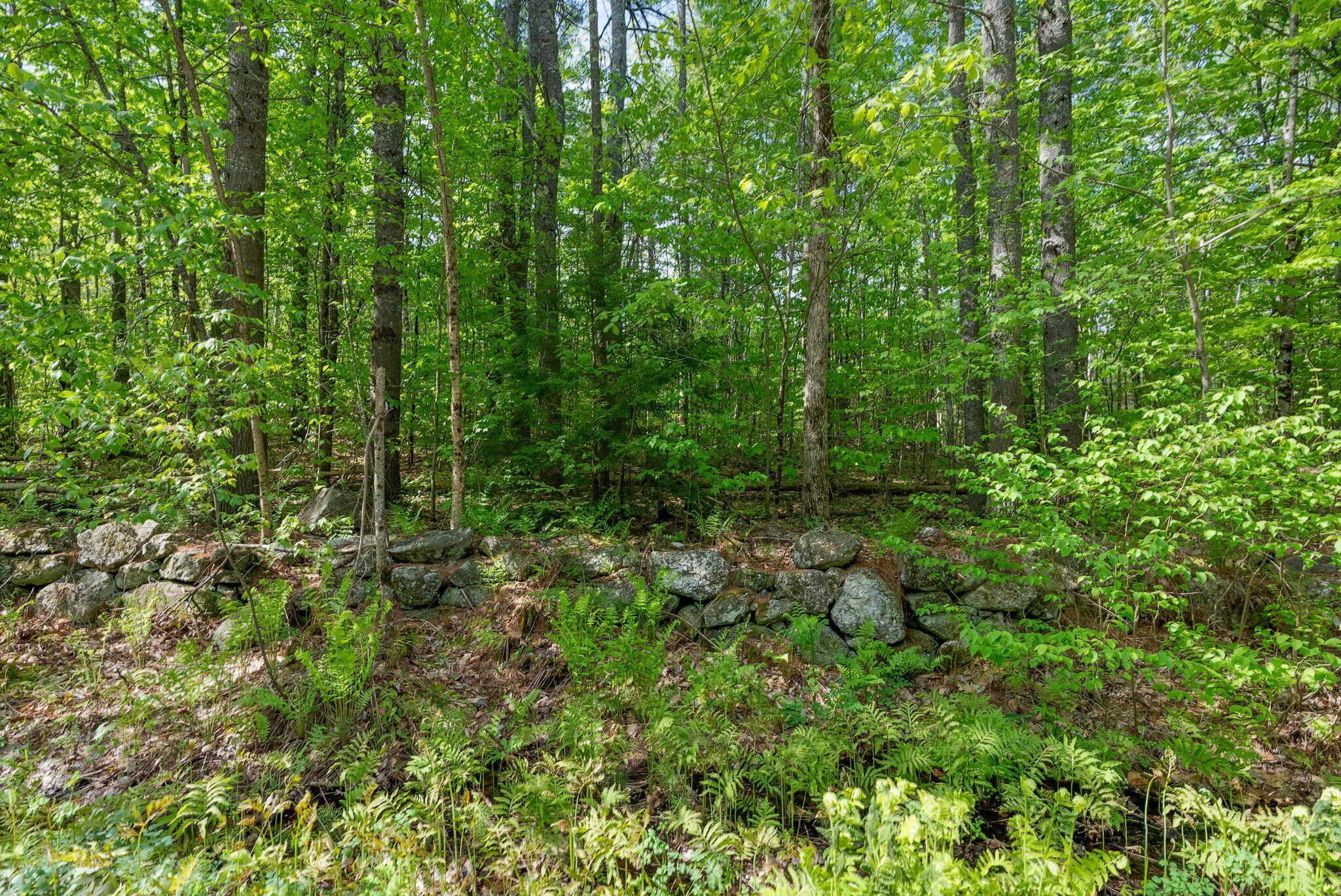 Lot C Shady Nook Road West Newfield, ME 04095 - Photo 3 of 12 3_DSC07882 copy