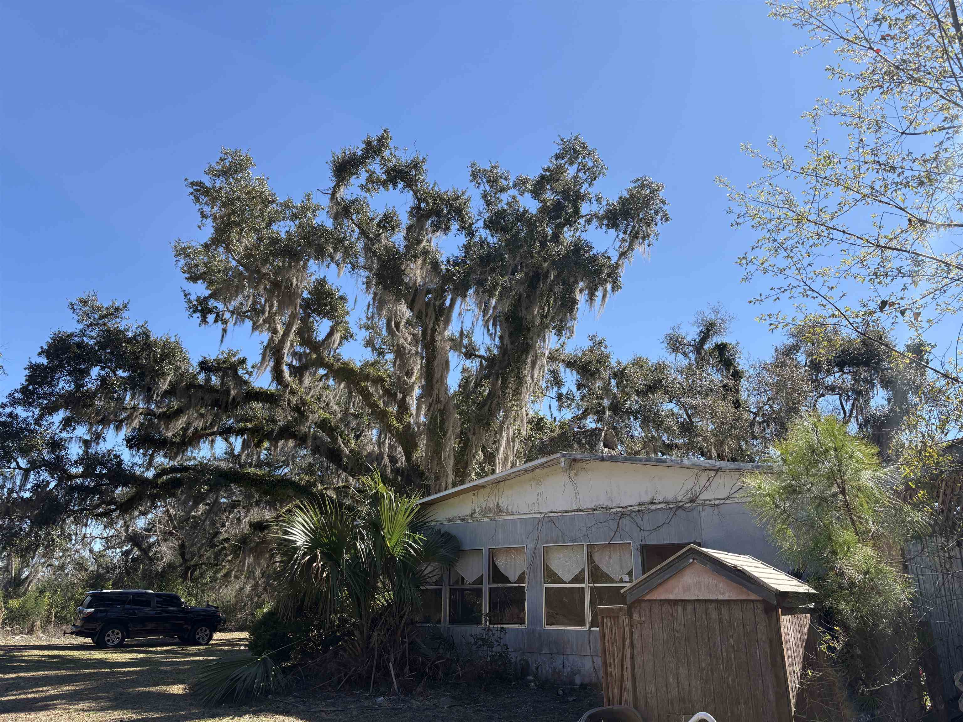 2905 Henry Gibson Road Perry, FL 32348 - Photo 13 of 15