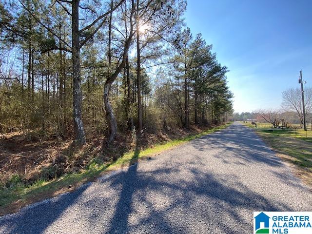 0 Jones Chapel Loop, Unit 15 / ACRES Springville, AL 35146 - Photo 10 of 10